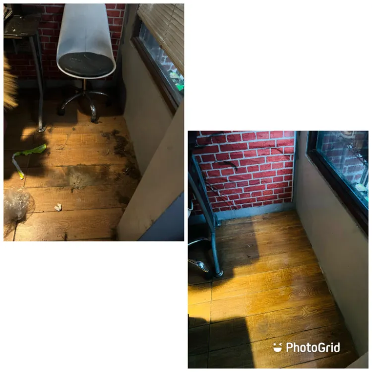 Deep cleaning results showing pristine tiled flooring in a commercial space